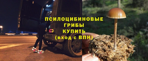 каннабис Аркадак