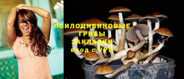 каннабис Аркадак