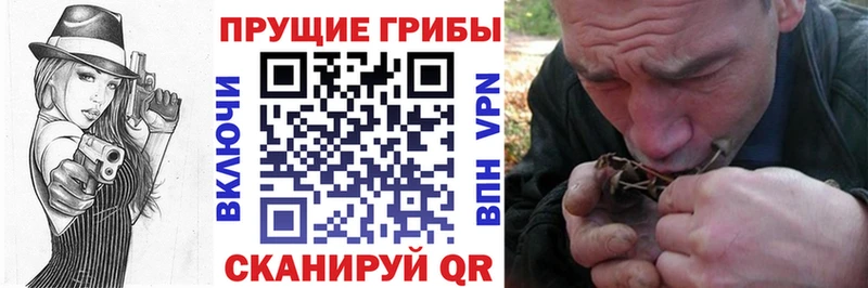 Галлюциногенные грибы мицелий  продажа наркотиков  Сусуман 